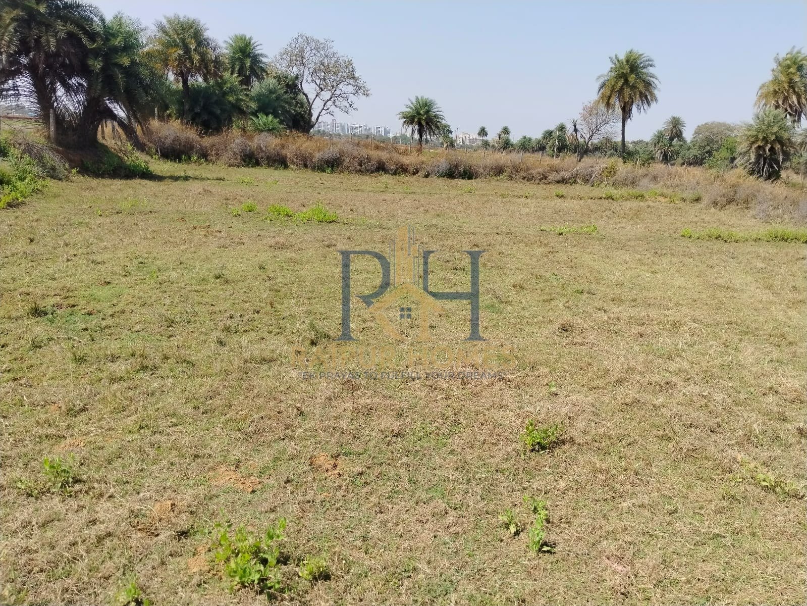 AGRICULTURE PLOT AVAILABLE NEAR IN NAYA RAIPUR