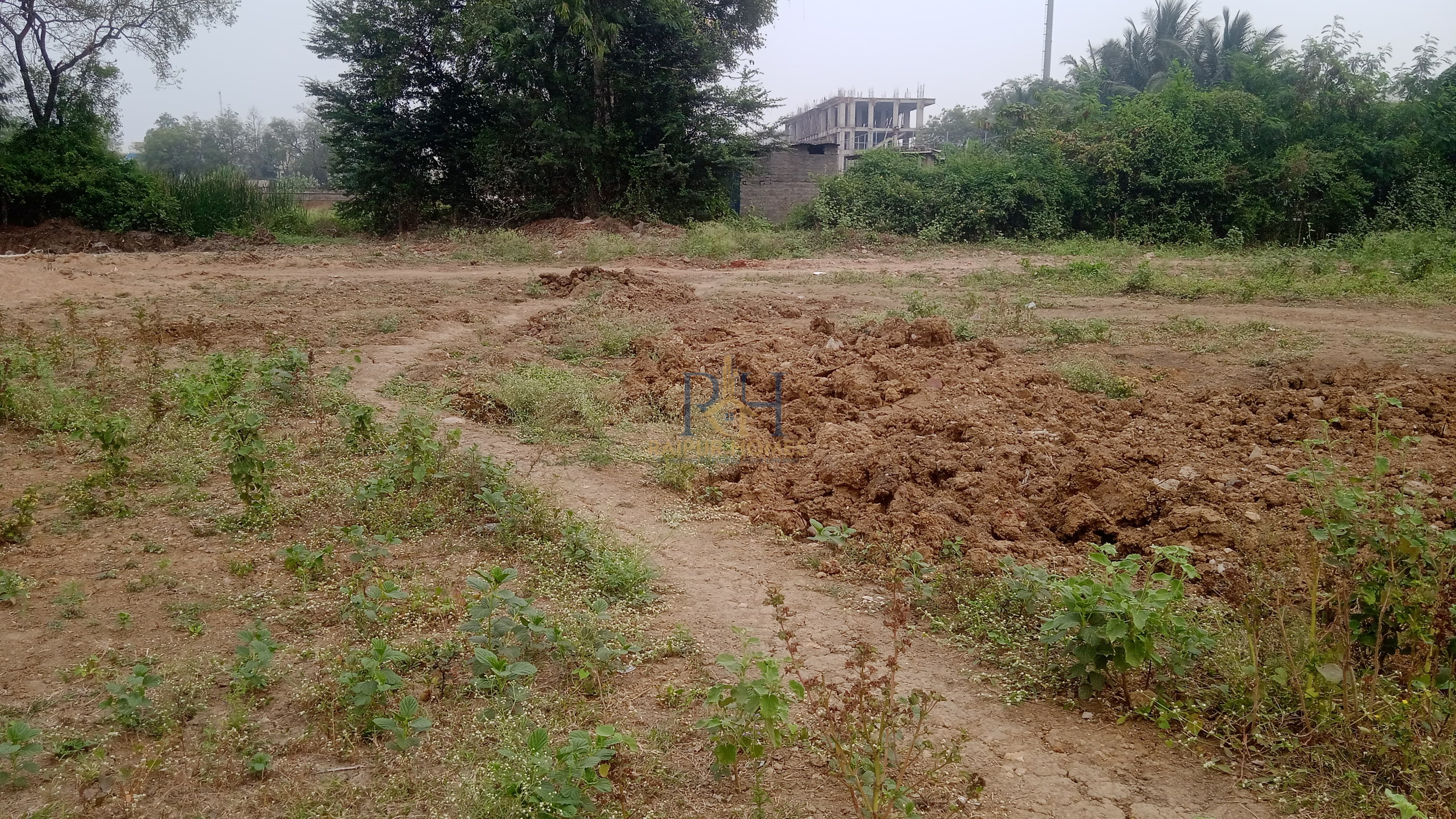 RESIDENTIAL PLOT AVAILABLE IN KACHNA