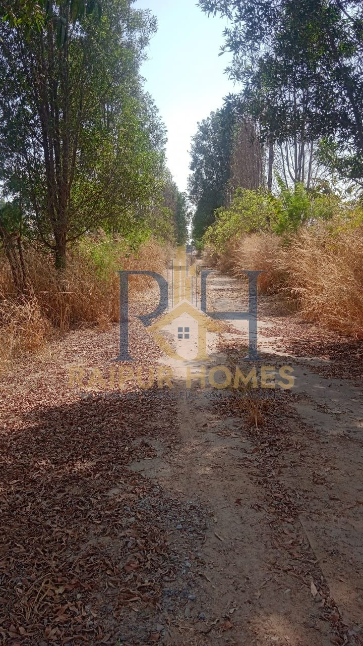 RESIDENTIAL PLOT AVAILABLE IN OLD DHAMTARI ROAD