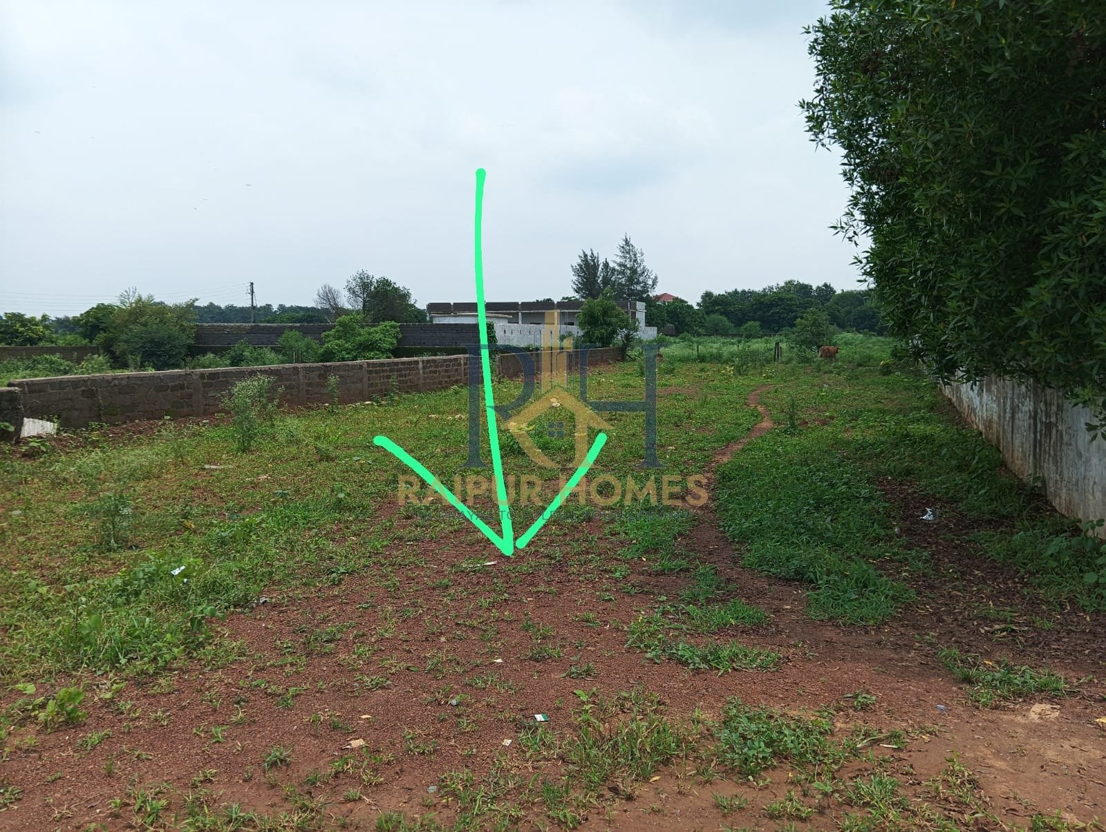 AGRICULTURE  PLOT AVAILABLE NEAR  IN MANA CHOWK