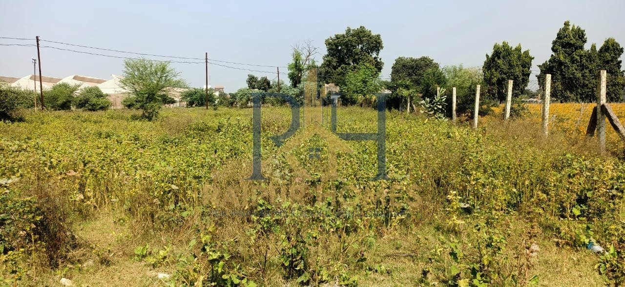 RESIDENTIAL PLOT AVAILABLE IN TATIBANDH