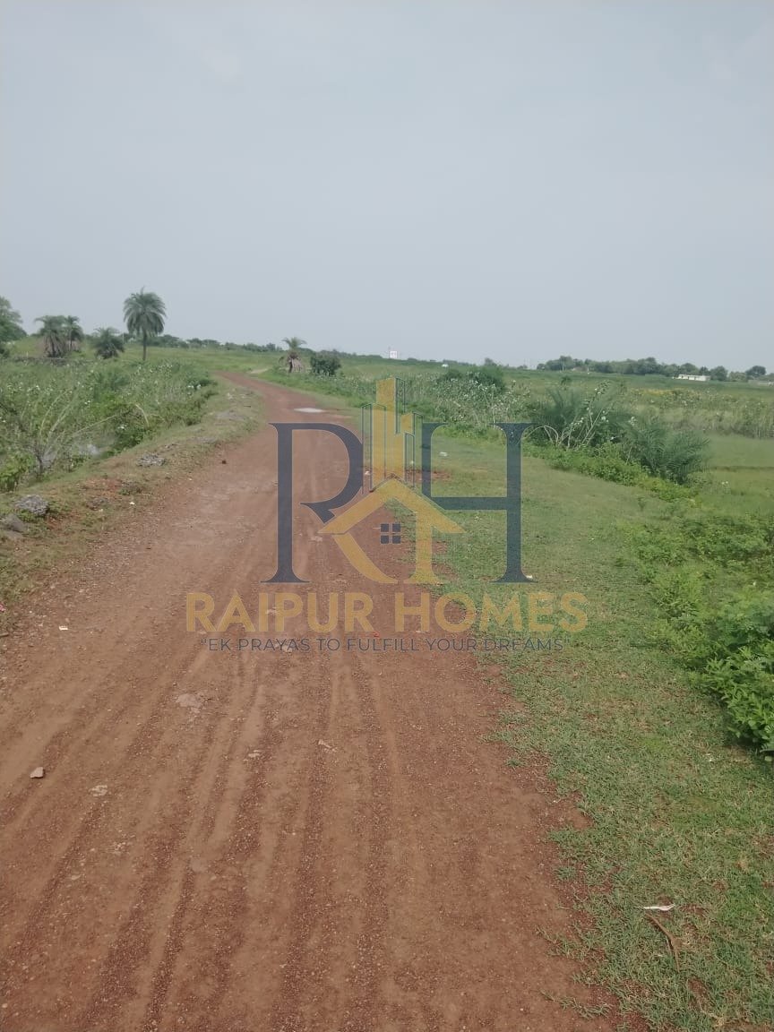 AGRICULTURE PLOT AVAILABLE IN NAYA RAIPUR