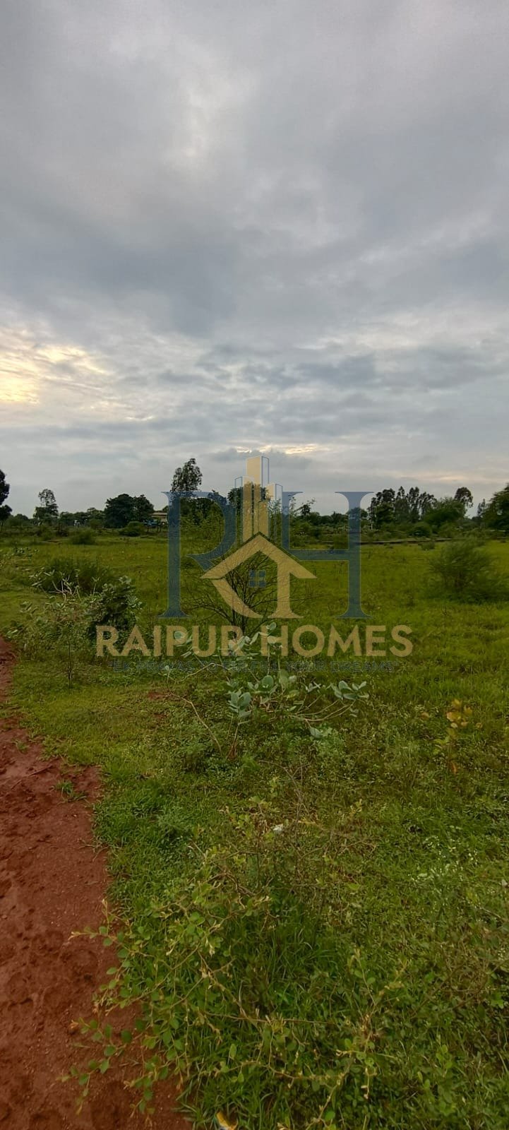 raipur homes AGRICULTURE PLOT AVAILABLE NEAR IN AMLESHWAR