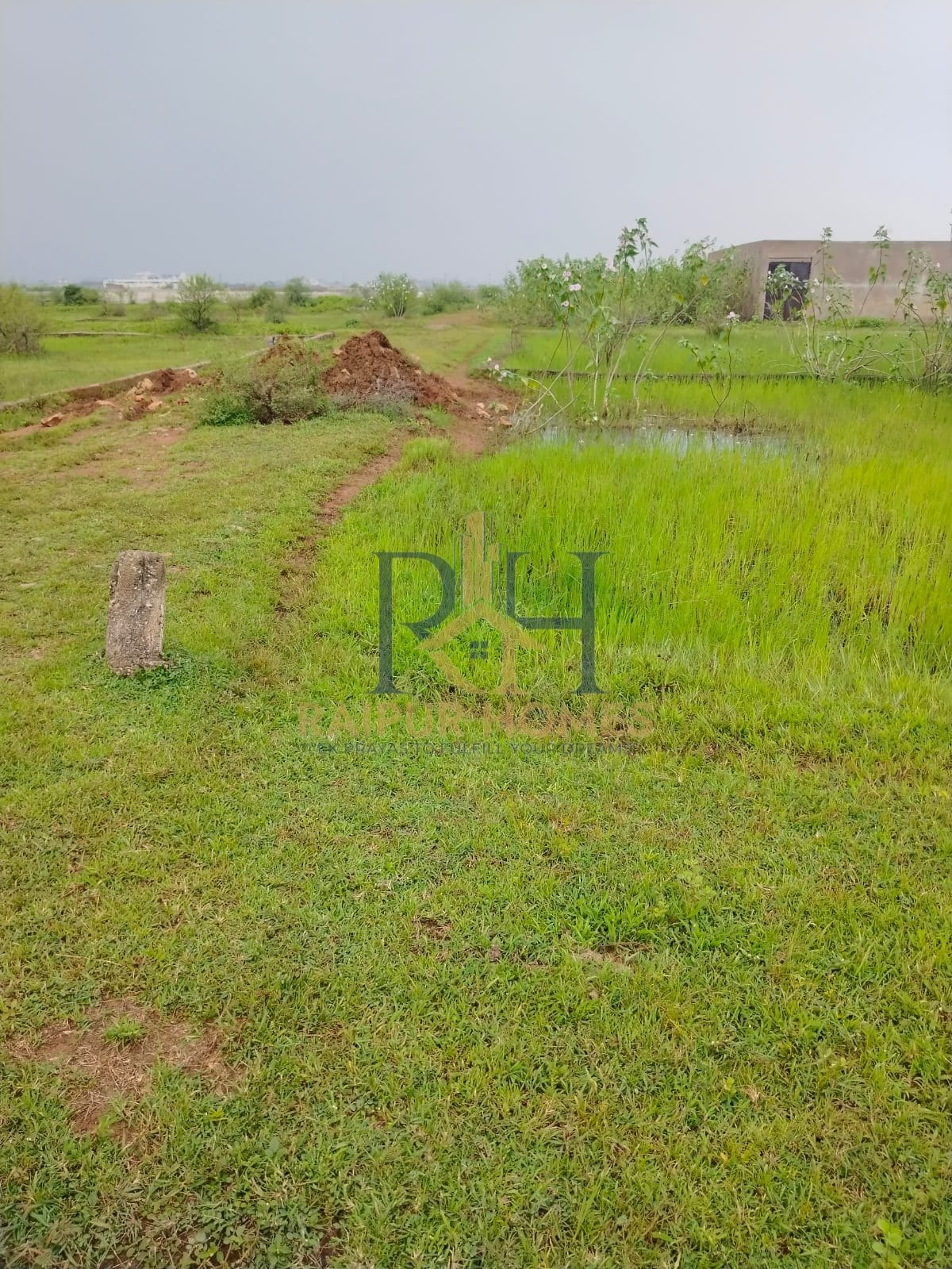 raipur homes RESIDENTIAL PLOT AVAILABLE IN BIRIA KALA