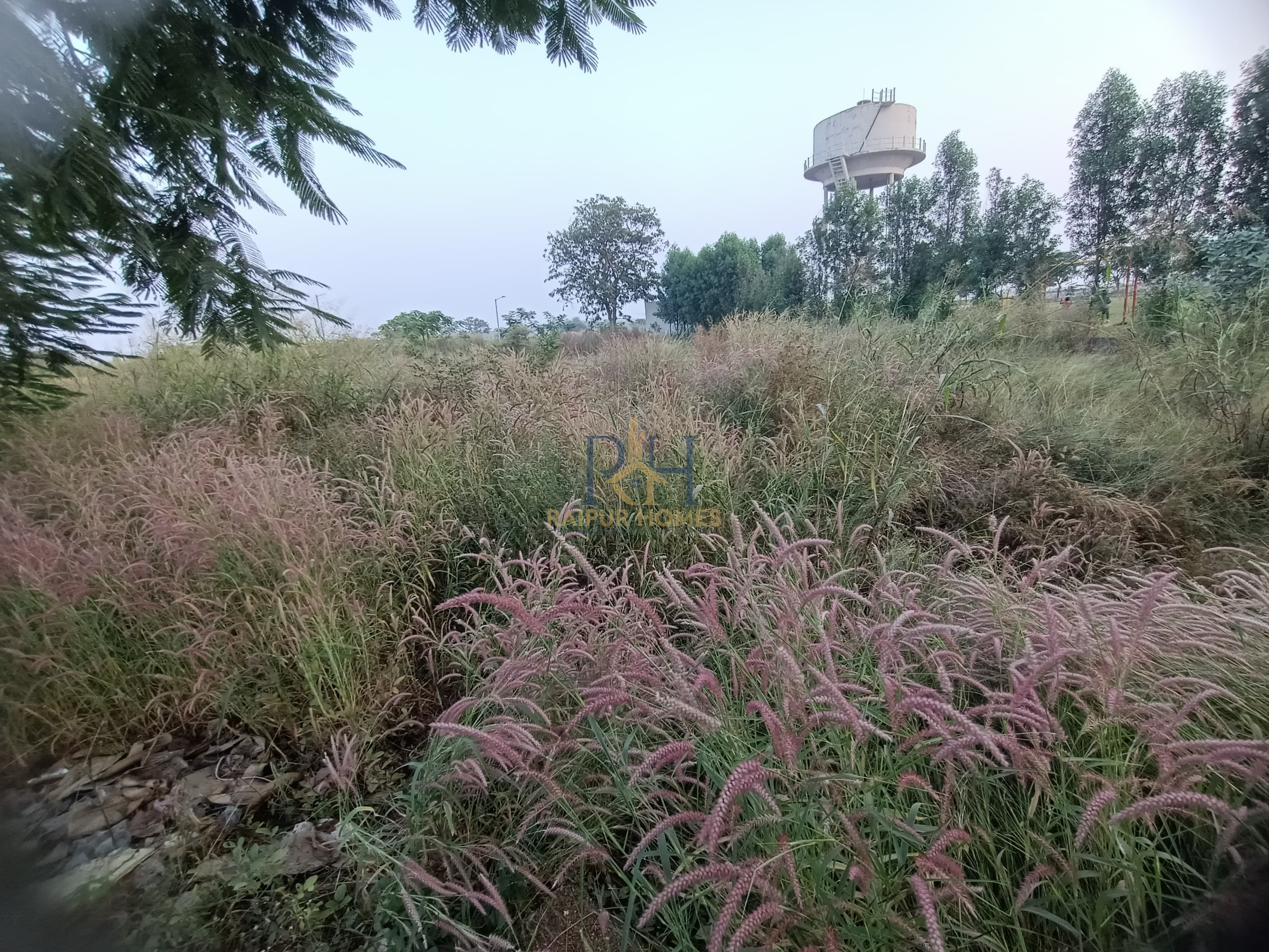 RESIDENTIAL PLOT AVAILABLE IN VIDHANSABHA