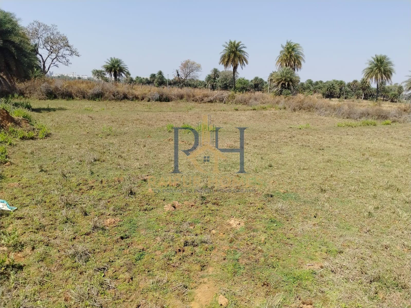 AGRICULTURE PLOT AVAILABLE NEAR IN NAYA RAIPUR